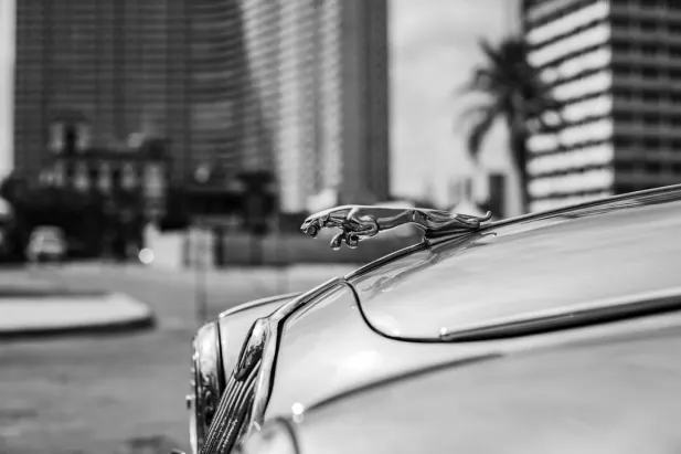 카지노 로열 벳 안드로이드/iOS 앱